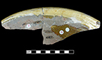 North Devon Sgraffito dish with incised repeating spiral (curlicue) motif along rim.